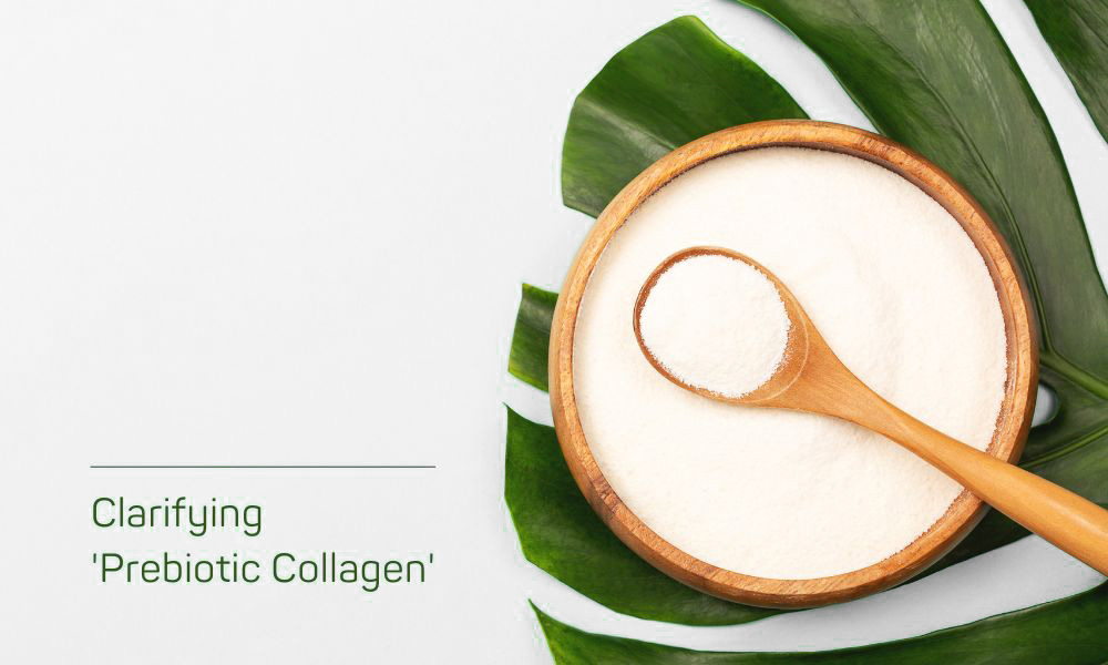 A bowl of collagen with some on a spoon with a leaf underneath, text 'clarifying prebiotic collagen'. Colours: light blue, green (leaf), white (collagen), orange/brown (bowl).
